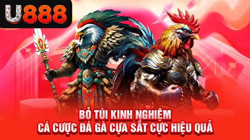 Bỏ túi kinh nghiệm cá cược đá gà cựa sắt cực hiệu quả