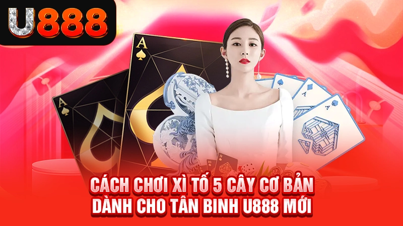 Cách Chơi Xì Tố 5 Cây Cơ Bản Dành Cho Tân Binh U888 Mới