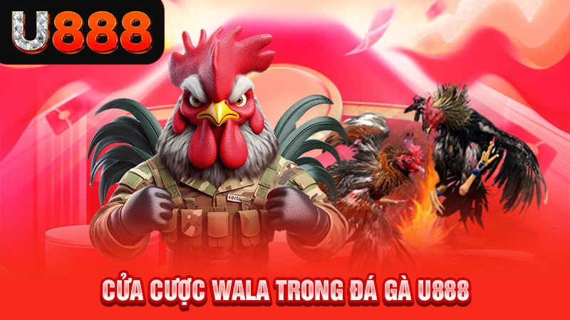 Cửa cược Wala trong đá gà U888