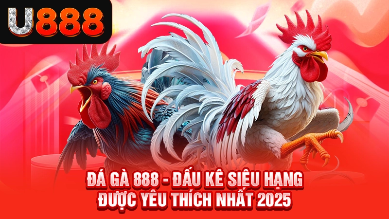 Đá Gà 888 - Đấu Kê Siêu Hạng Được Yêu Thích Nhất 2025
