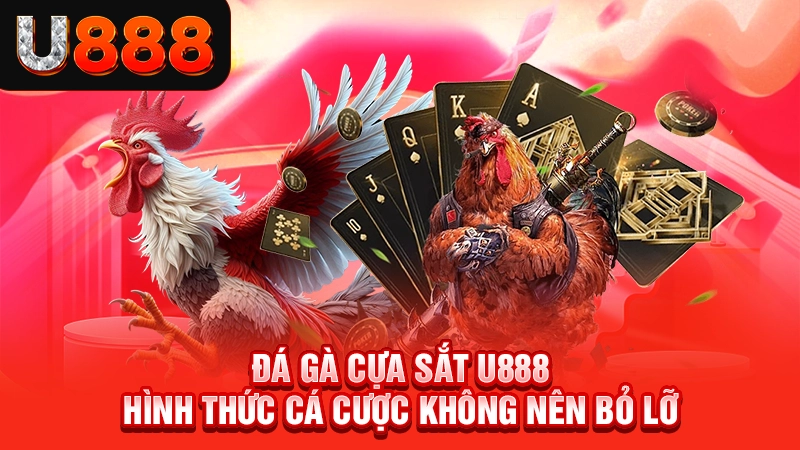 Đá Gà Cựa Sắt U888 - Hình Thức Cá Cược Không Nên Bỏ Lỡ