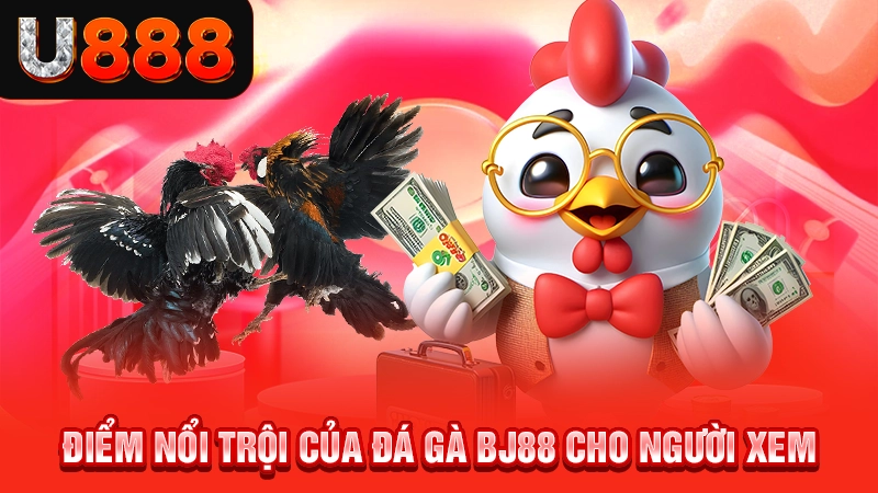 Điểm nổi trội của đá gà BJ88 cho người xem