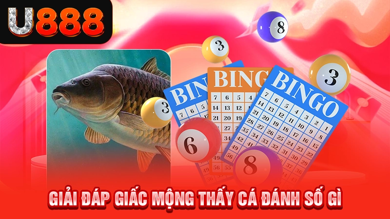 Giải đáp giấc mộng thấy cá đánh số gì