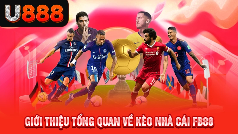 Giới thiệu tổng quan về kèo nhà cái Fb88