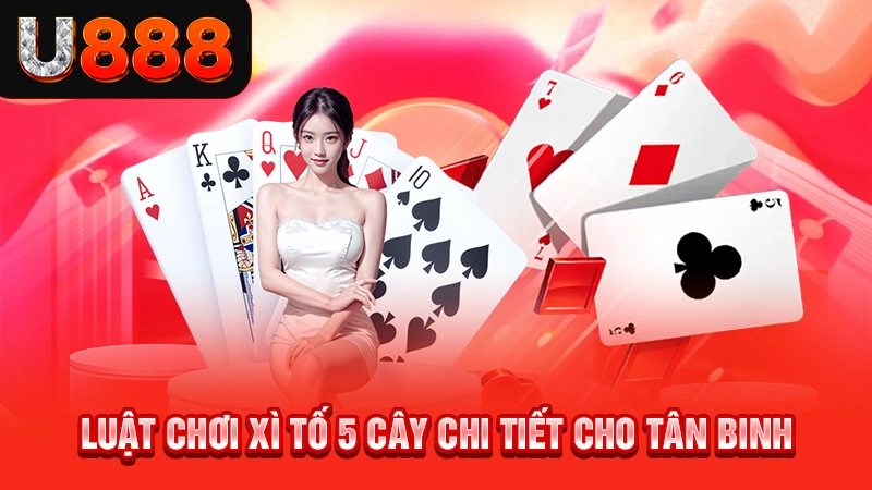Luật chơi xì tố 5 cây chi tiết cho tân binh