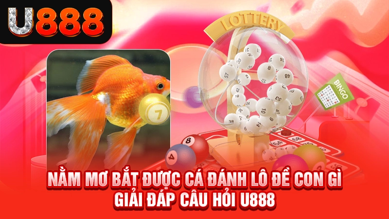 Nằm Mơ Bắt Được Cá Đánh Lô Đề Con Gì - Giải Đáp Câu Hỏi U888