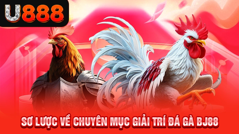 Sơ lược về chuyên mục giải trí đá gà BJ88