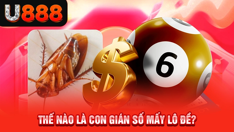 Thế nào là con gián số mấy lô đề?