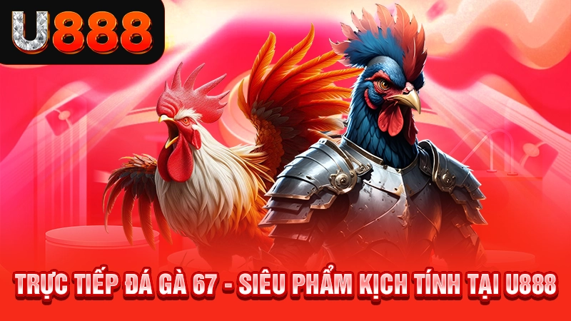 Trực Tiếp Đá Gà 67 - Siêu Phẩm Kịch Tính Tại U888