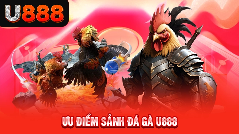 Ưu điểm sảnh đá gà U888